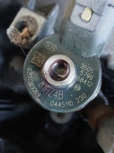 0445110230 injecteur renault - injecteur,
