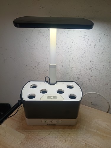 Aerogarden harvest home - aerogarden, garden