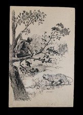 ÉVASION DU TIGRE. DESSIN