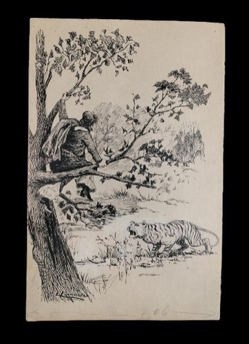 évasion tigre dessin - Évasion, du