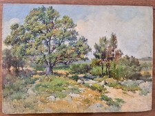 Edouard CAILLOL. Délicate