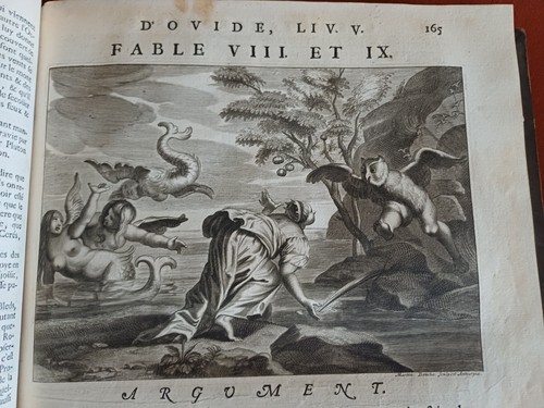 Ovide métamorphoses 125 - métamorphoses,
