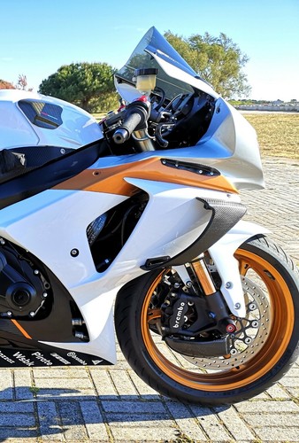 Ailerons 1000 gsxr 2009 - 2009, à