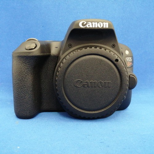 Kit double zoom reflex