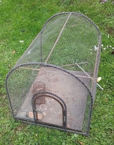 Cage oiseaux grand - oiseaux,