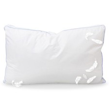 Oreiller Coussin Authentique