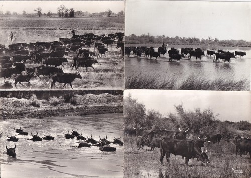 Lot cartes postales - de,