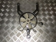 Kawasaki GPX 600 Warbird -