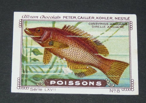 Chromo peter cailler kohler - cailler,