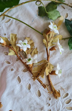 ANCIEN PETIT BOUQUET DE MARIEE FLEURS EN PORCELAINE globe napoleon III