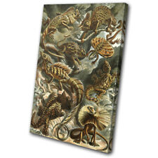 Floral Lizard Reptile Vintage