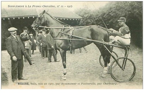 hippisme.n°35961.hegire.baie