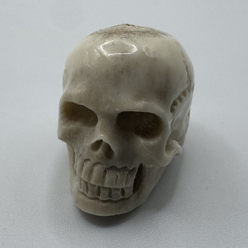 Crâne sculpté - os,