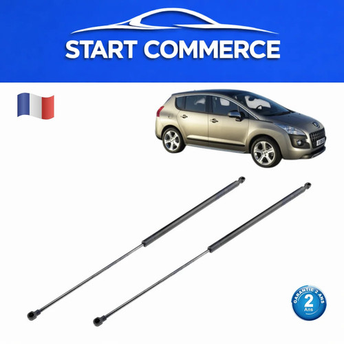Verins coffre hayon - verins,