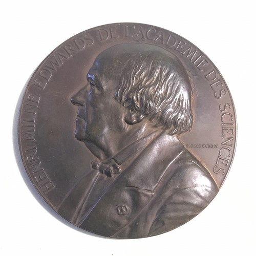 Médaille cuivre 1880 henri - médaille,