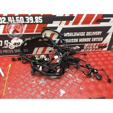 Faisceau électrique