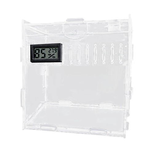 Terrarium acrylique pour - terrarium, en