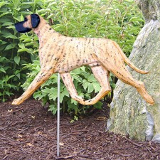 Great Dane Extérieur Jardin