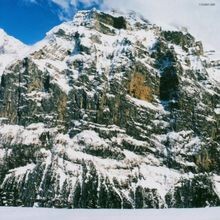 I Am Not a Doctor de Moloko | CD | état bon