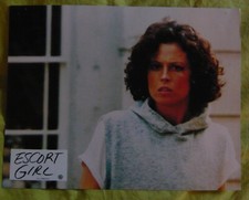 12  photos couleurs (21 cm x