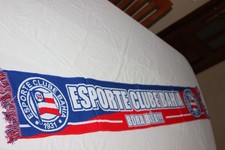 Écharpe De Football Du Club