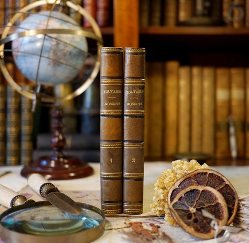 Romans voltaire ernest - romans, de