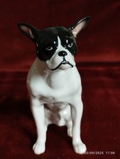 Rare Figurine Bouledogue Français Porcelaine Gotha Pfeffer Allemagne Thuringe -