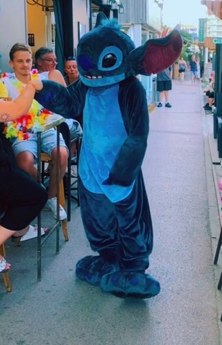 Mascotte stitch costume