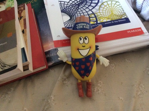 Twinkie the kid - the,