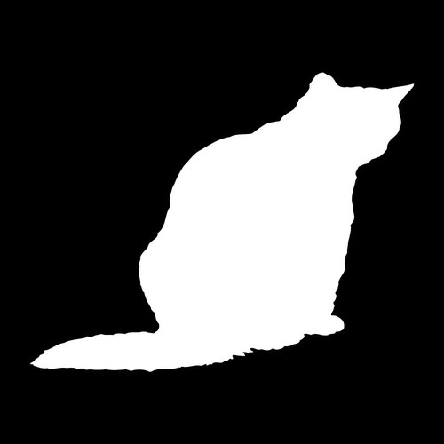 British shorthair cat - shorthair,