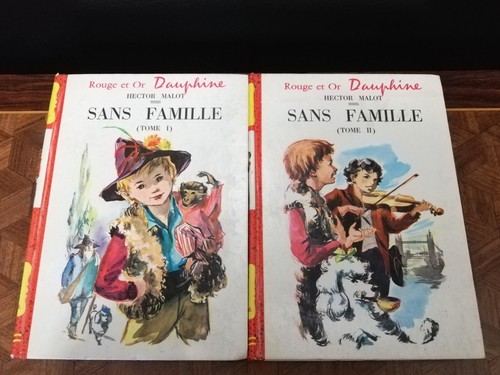 Sans famille hector malot - famille,