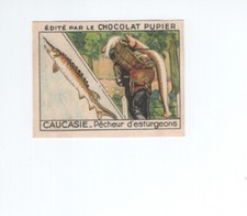 Azerbaïdjan CAUCASIE CAUCASE CAUCASUS ESTURGEON TB 1930s  Pub: PUPIER