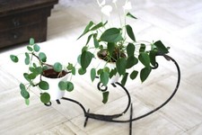 1 porte- pots de plantes  fer forgé vintage - à poser - long70 cm - exc état