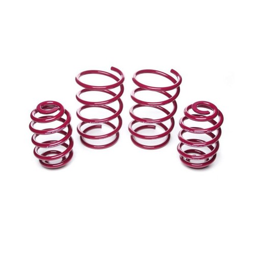 Vogtland sport lowering - vogtland,