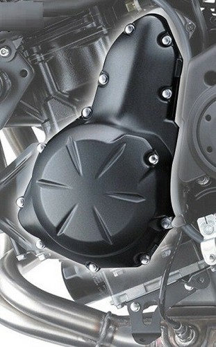 Carter er6 ninja 650 - ninja,