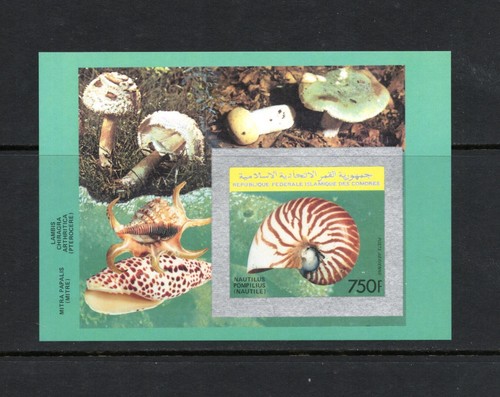 R6297 comores 1992 - comores,