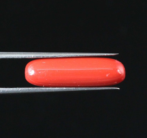 Corail rouge naturel non - corail,