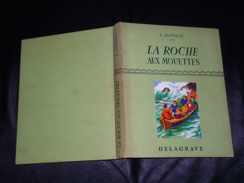Roche aux mouettes - roche, /