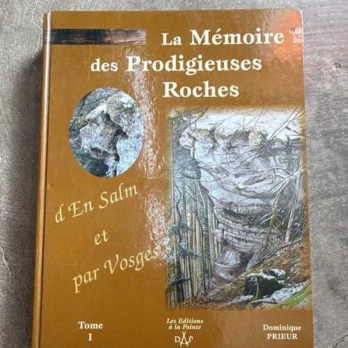 Dominique prieur mémoire - dominique,