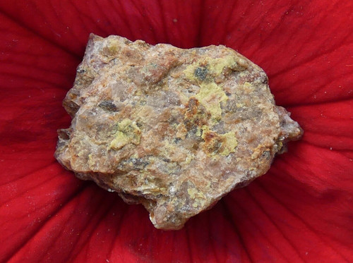 Micromount identifier - à,