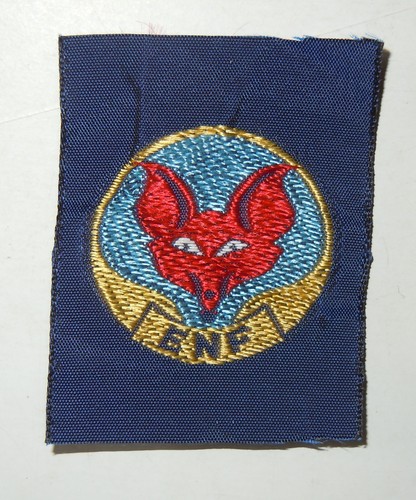 Insigne tissu scout - insigne, "