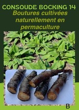 Consoude Bocking 14 : 10