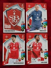 LOT DE 7 CARTES PANINI