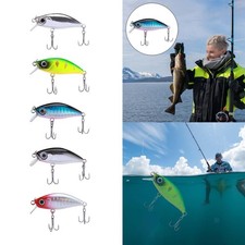 Leurre de pêche au vairon