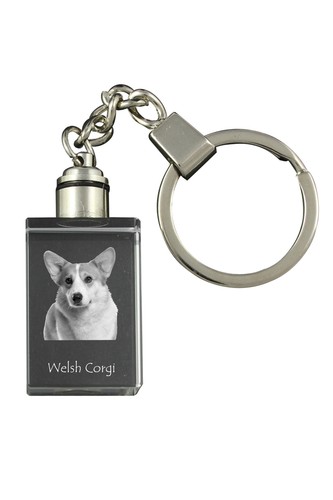Pendentif cristal pembroke - cristal,