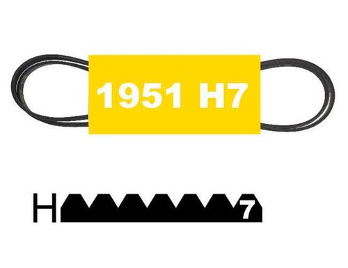Courroie 1951h7 poly - 1951h7,