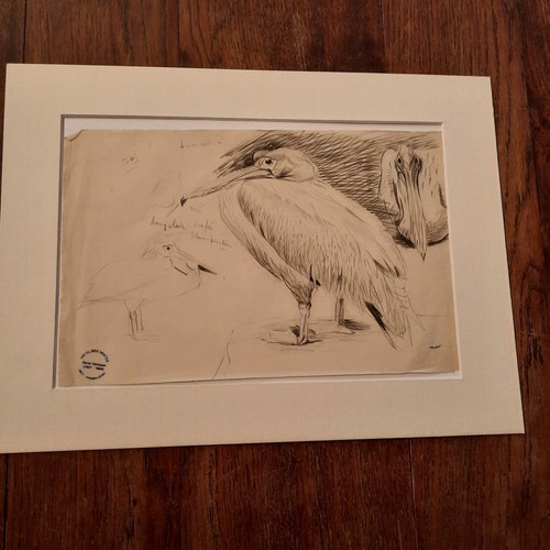 Dessin ancien animalier fond - animalier,