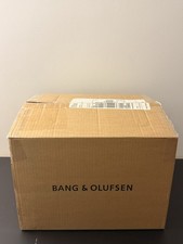 Bang & Olufsen BeoSound Moment