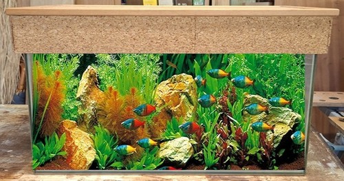 Aquarium 166 litres complet - litres,
