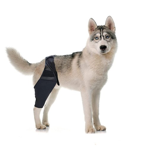 Wound protection attelle de - wound,